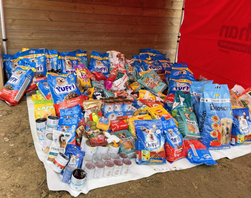 karma dla bezdomnych psów