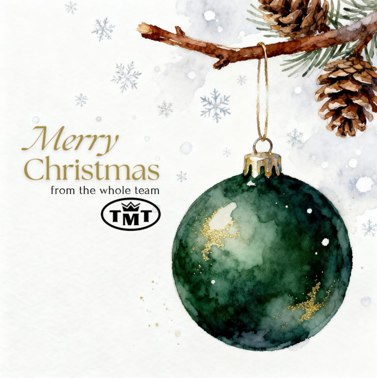 Green bauble on a branch - Christmas wishes - card