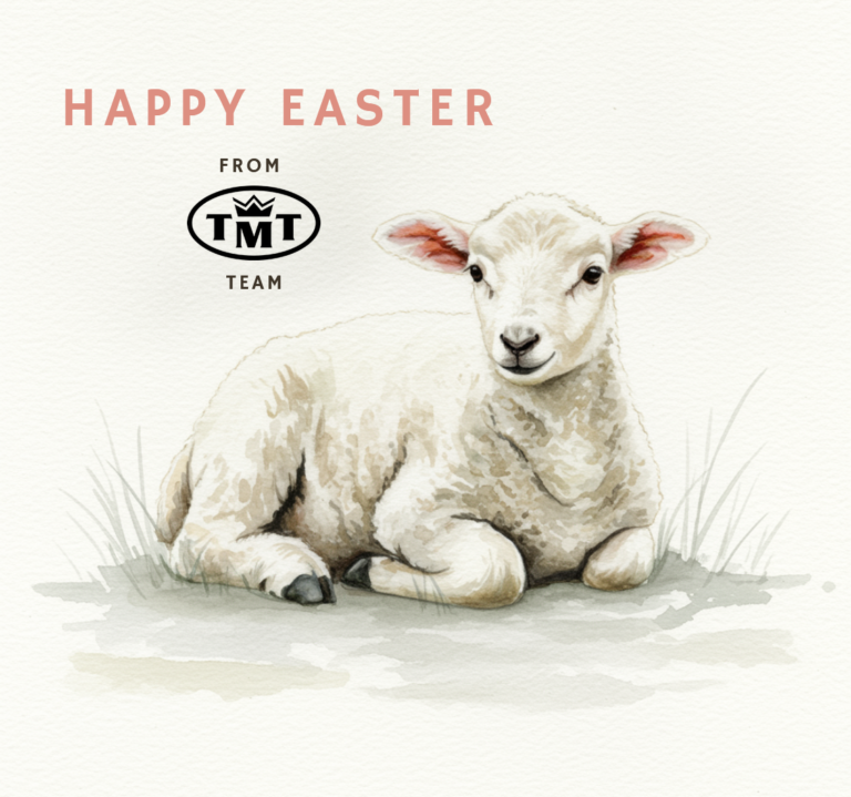 Watercolor-style Easter graphic featuring a white lamb lying on the grass. Above, there is a pink 'HAPPY EASTER' inscription, and below it, the black TMT logo with the text 'FROM TEAM'.
